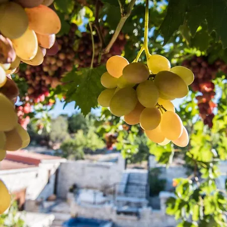 Affittacamere Our House 4*