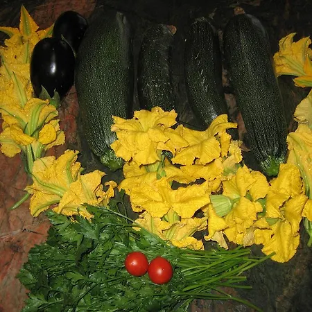 בית הארחה Our House Vavla